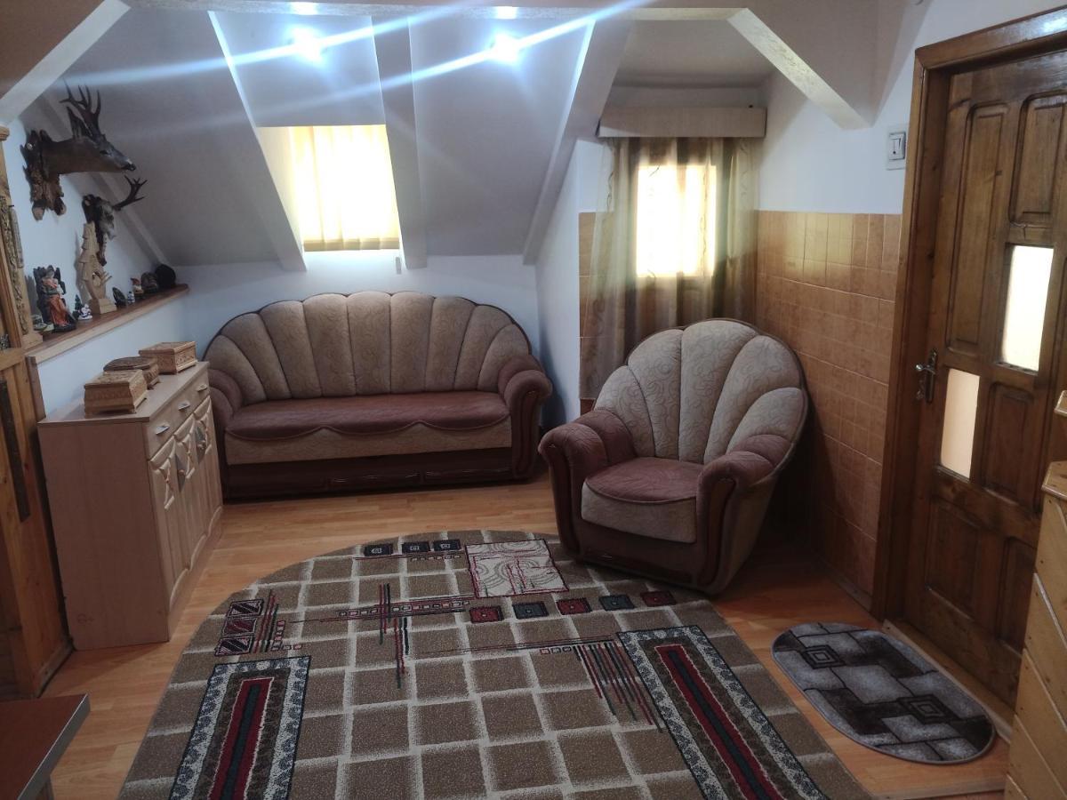 הוילה קאמפולונג מולדובנסק Casa Cristian מראה חיצוני תמונה