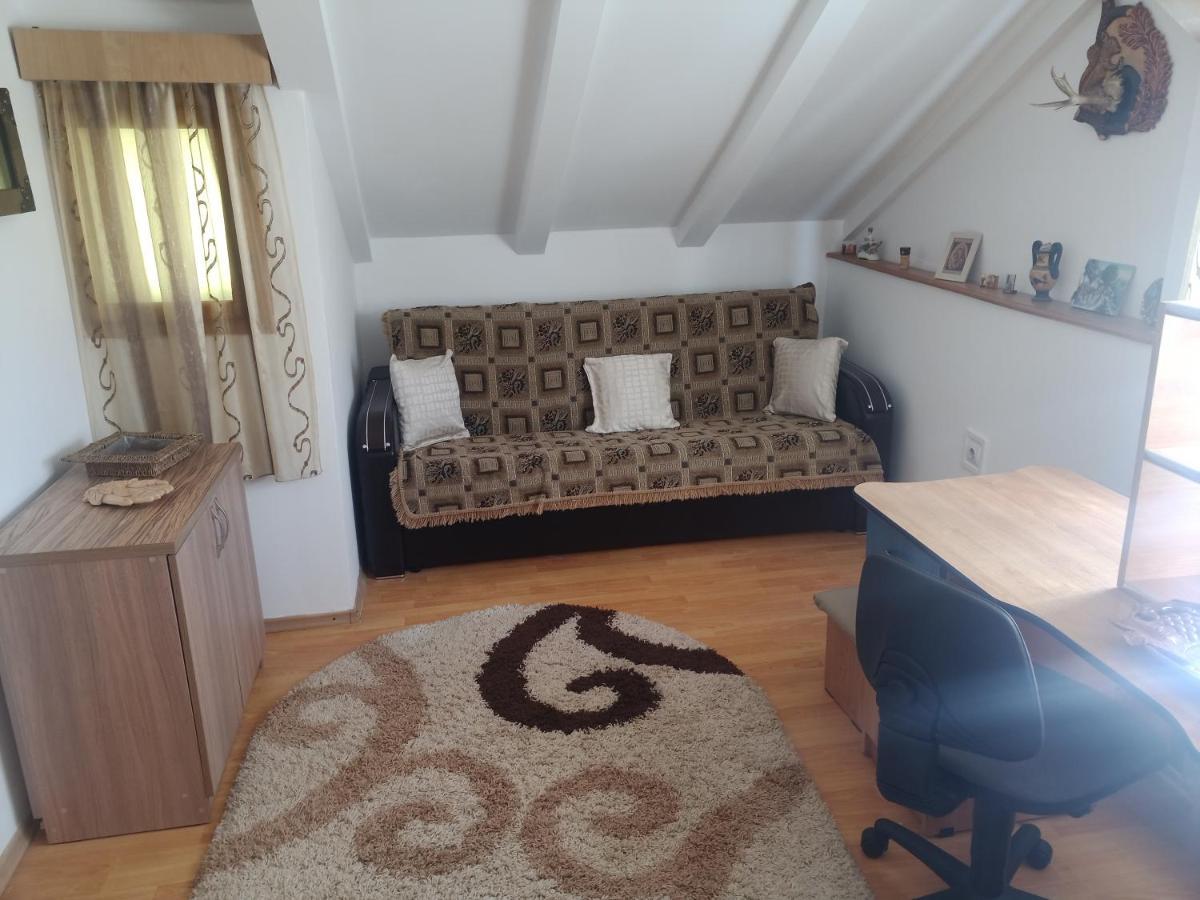 הוילה קאמפולונג מולדובנסק Casa Cristian מראה חיצוני תמונה