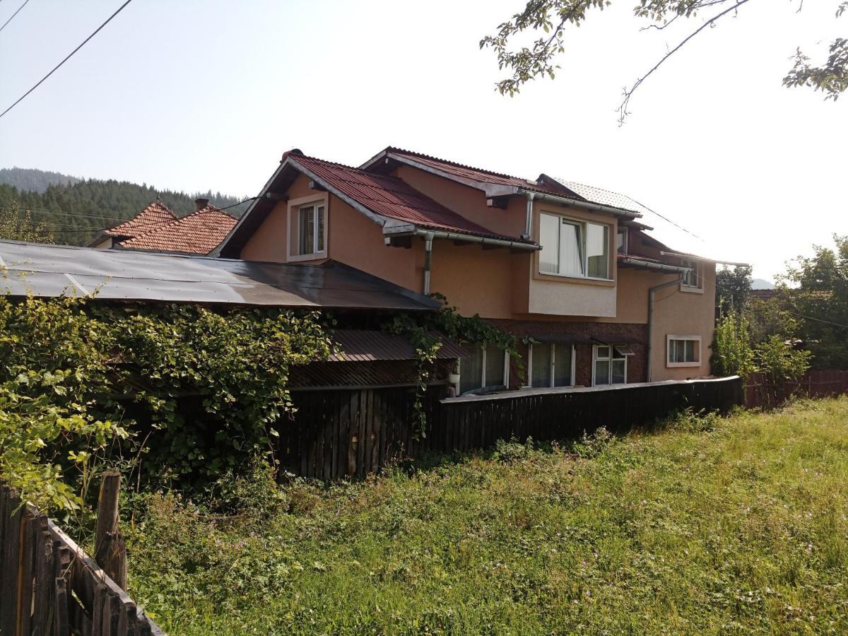 הוילה קאמפולונג מולדובנסק Casa Cristian מראה חיצוני תמונה