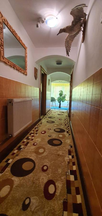 הוילה קאמפולונג מולדובנסק Casa Cristian מראה חיצוני תמונה