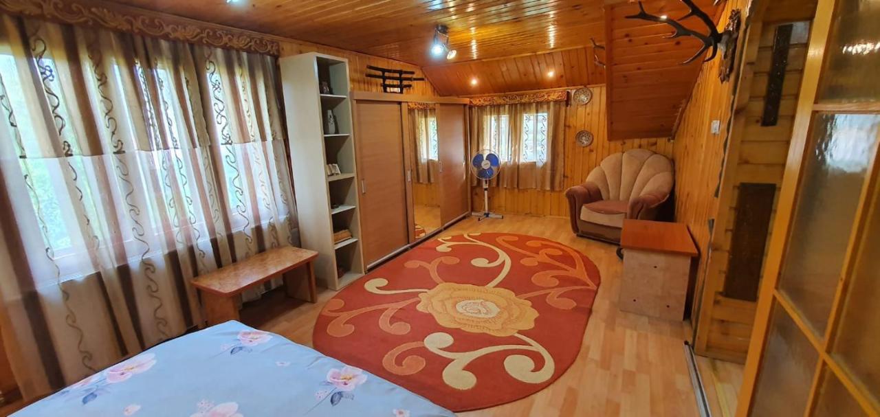 הוילה קאמפולונג מולדובנסק Casa Cristian מראה חיצוני תמונה