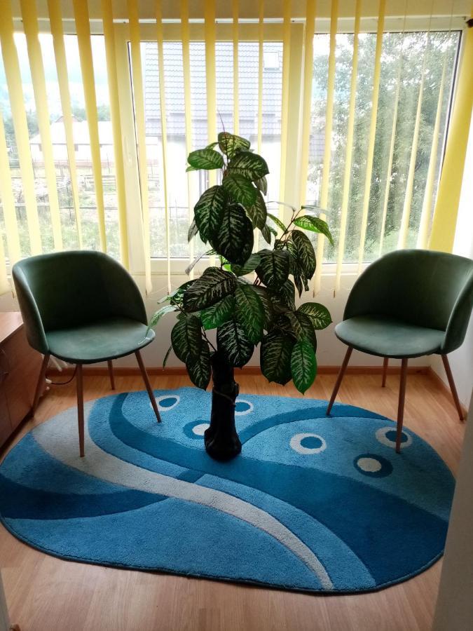 הוילה קאמפולונג מולדובנסק Casa Cristian מראה חיצוני תמונה