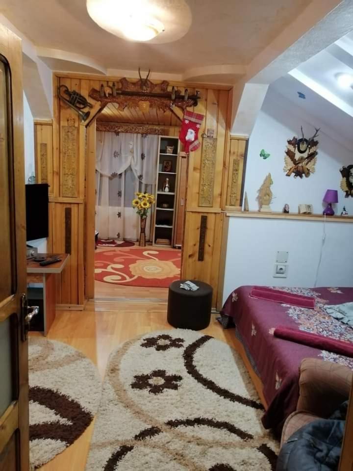 הוילה קאמפולונג מולדובנסק Casa Cristian מראה חיצוני תמונה