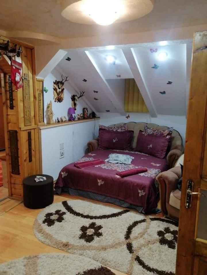 הוילה קאמפולונג מולדובנסק Casa Cristian מראה חיצוני תמונה