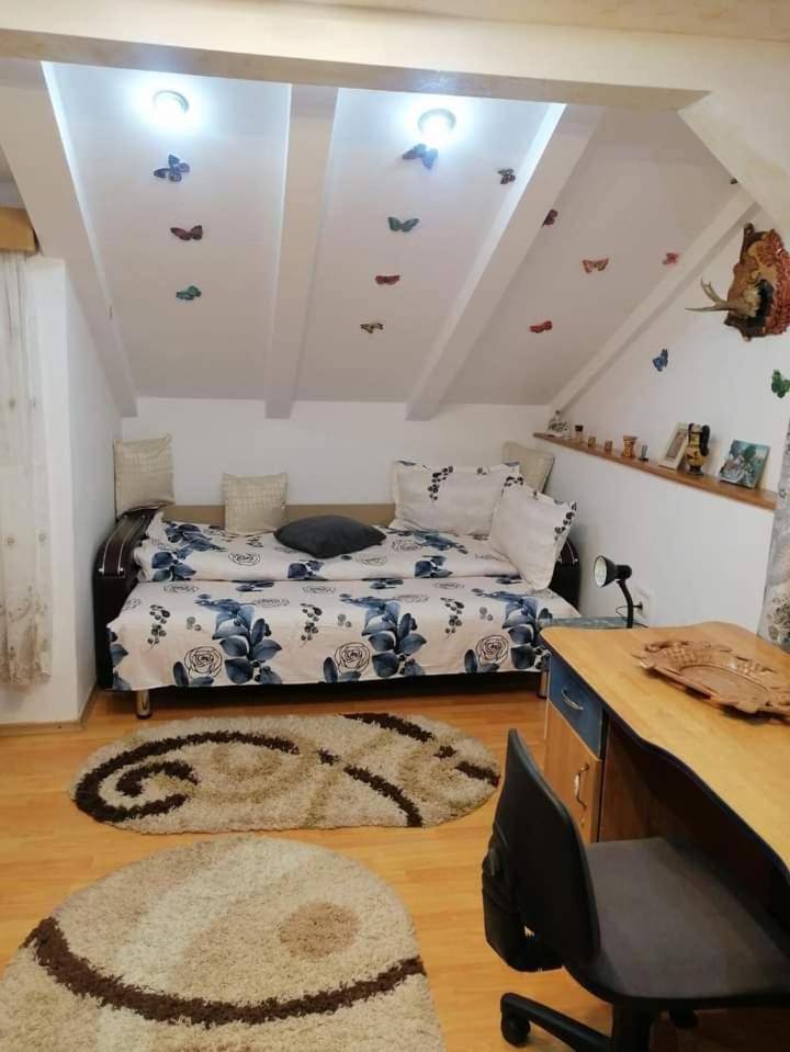 הוילה קאמפולונג מולדובנסק Casa Cristian מראה חיצוני תמונה